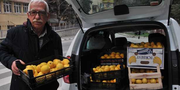 Мэр отправил в Артвин 150 кг лимонов