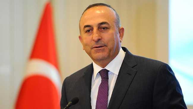 Чавушоглу раскритиковал посла США в Анкаре