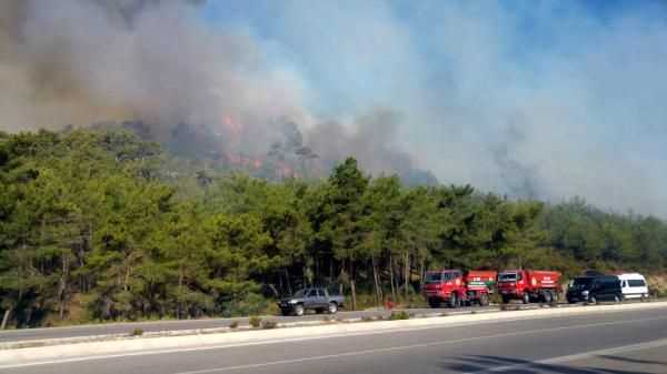 Погода становится причиной пожаров в Анталии