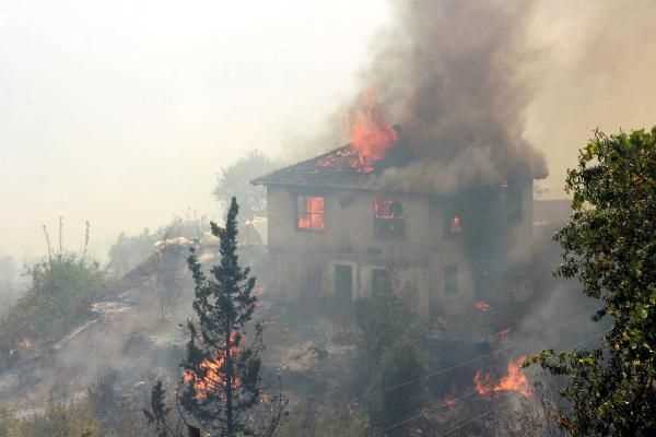 Сильный пожар уничтожил 13 домов в Анталии