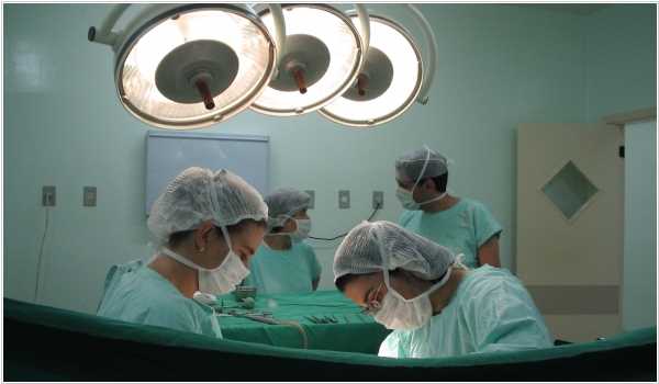 Турецкие врачи в этом году пересадили более 3000 органов