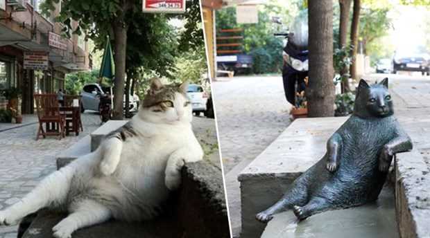 В Стамбуле украден памятник коту Томбили