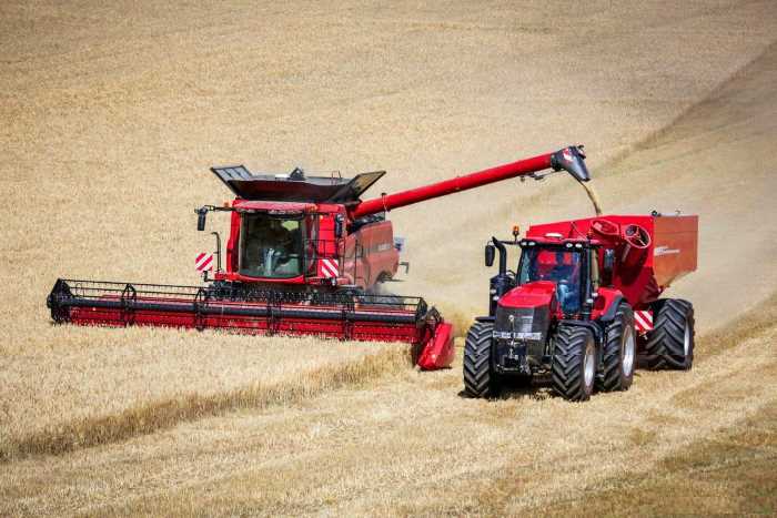 Турция объявила пошлины на российскую пшеницу