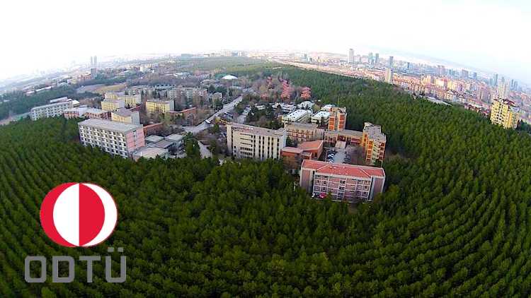 Дорога станет причиной вырубки 8000 деревьев в Анкаре