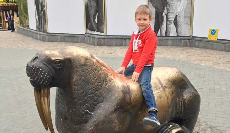 Сбитый на переходе 6-летний россиянин погиб в Бодруме