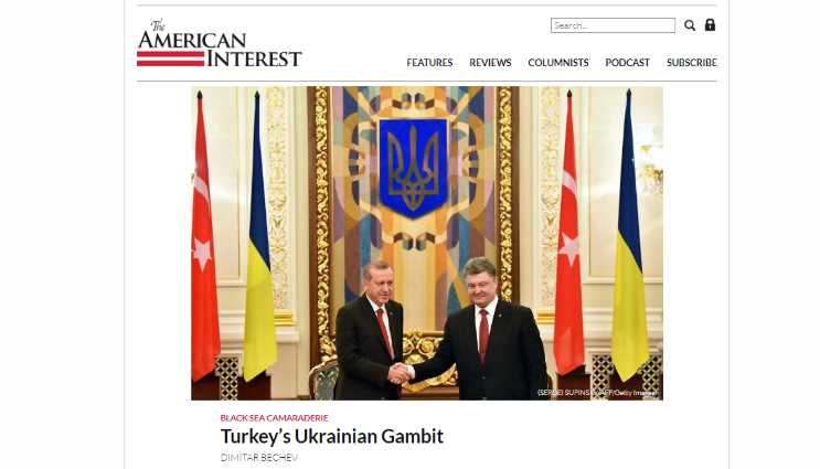 Украинский гамбит Турции