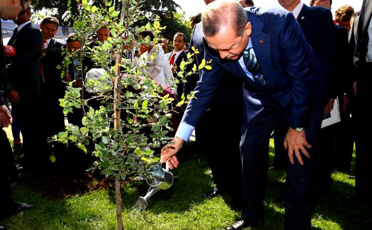 Новая президентская акция сделает Турцию еще зеленее