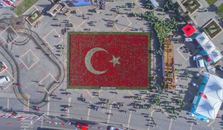 В канун праздника создан самый большой флаг из тюльпанов