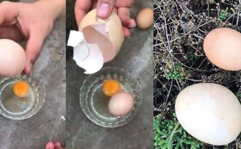 Житель Турции обнаружил яйцо в яйце