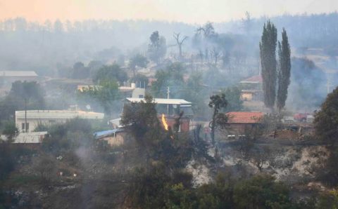 Три поселка эвакуированы в Манисе из-за пожара