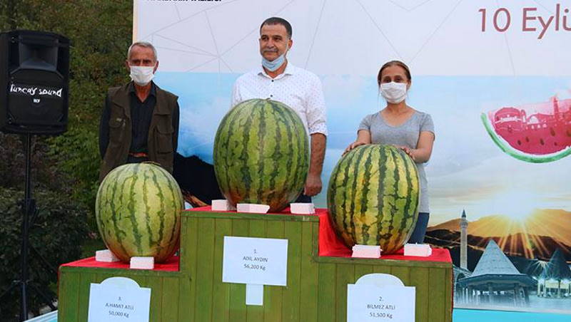В Турции прошел конкурс самых больших арбузов
