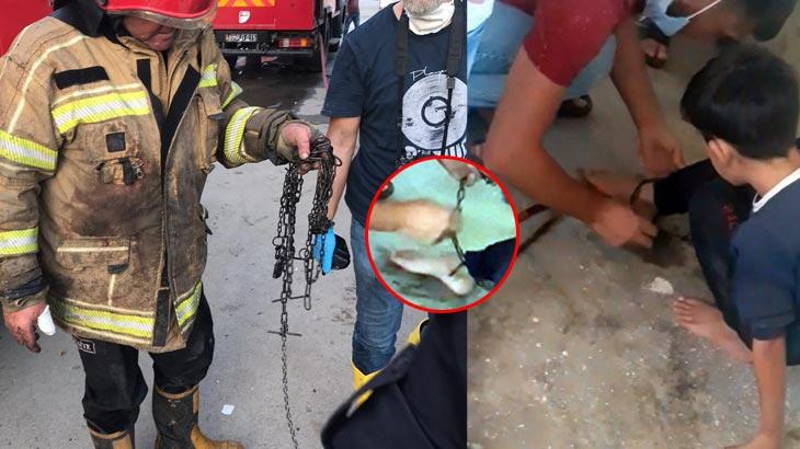 Пожарный спас из огня прикованного цепью ребенка