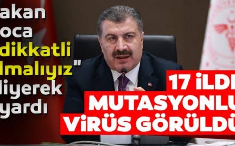 В 17 городах Турции обнаружен мутировавший COVID