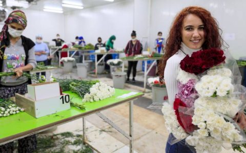 Влюбленные в 22 странах получат турецкие цветы