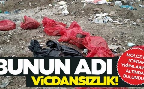 Ужасная находка на свалке в Анкаре