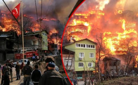 Пожар уничтожил более 50 домов в Артвине