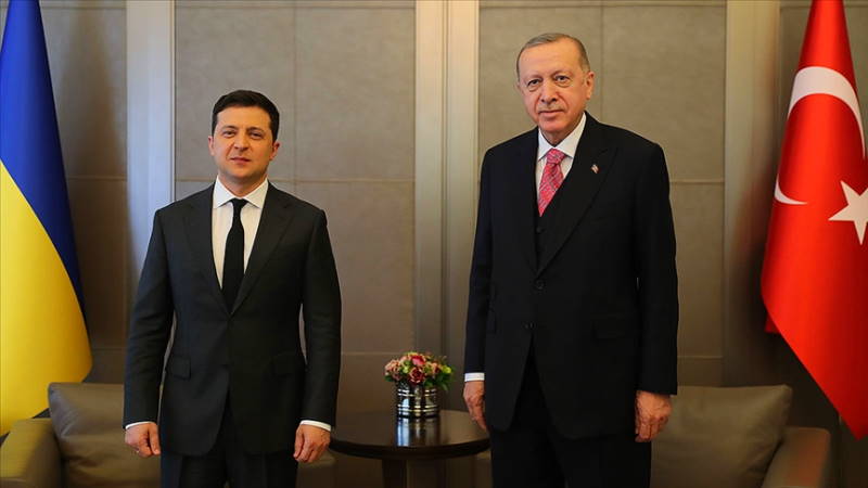 В Стамбуле прошла встреча президентов Турции и Украины