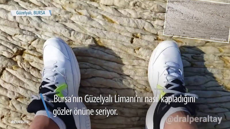 Видео из Турции с «ковром на море» взорвало интернет