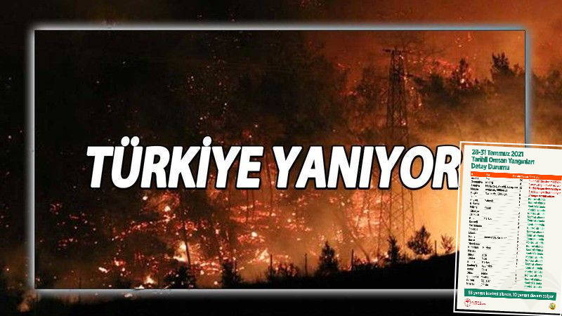 Краткая сводка: Пожары затронули 30 провинций Турции
