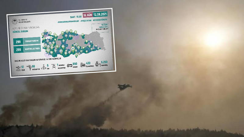 Турция справилась с лесными пожарами