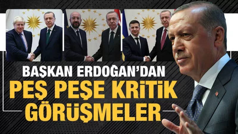 Эрдоган провел беседы с главами ЕС, ФРГ, Украины и Великобритании