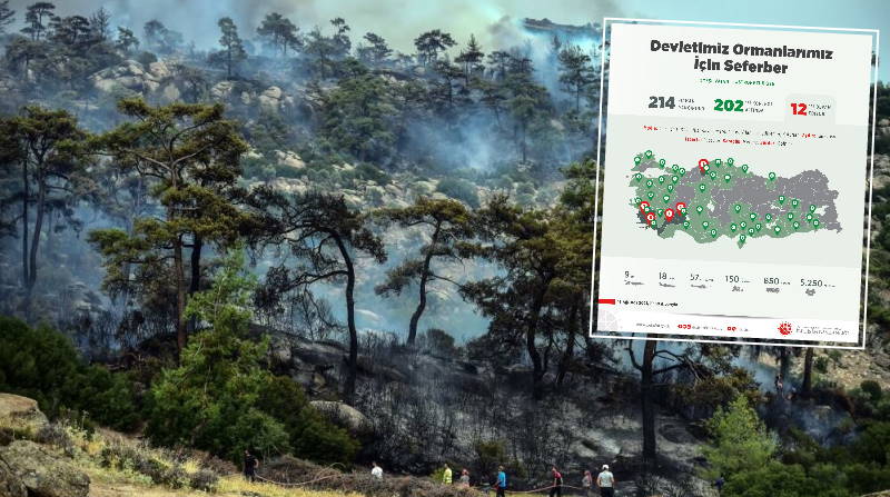 Краткая сводка: Анталья впервые за 11 дней не горит