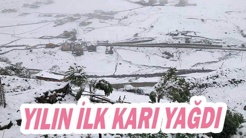 Снег выпал сразу в нескольких провинциях Турции