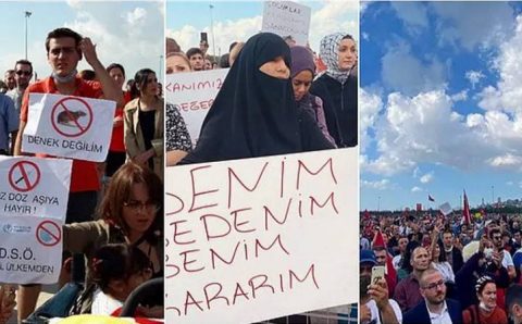 В Стамбуле прошел протест против вакцинации и «пландемии»