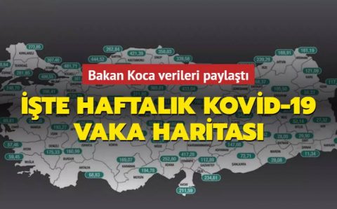 Недельная карта статистики заражений Минздрава Турции