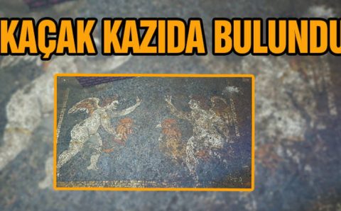 “Черные копатели” нашли редкую мозаику в Измире