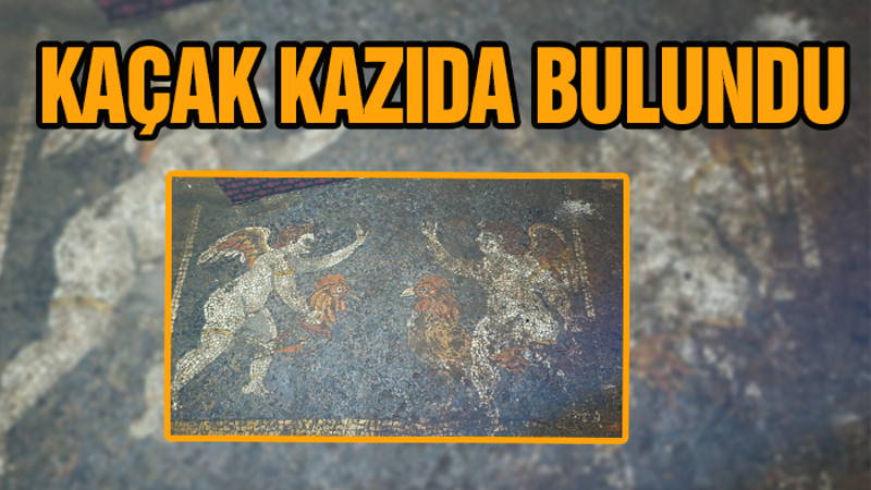 «Черные копатели» нашли редкую мозаику в Измире