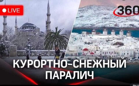 Бунт в «Аэропорту Стамбула», спецназ и кто виноват?