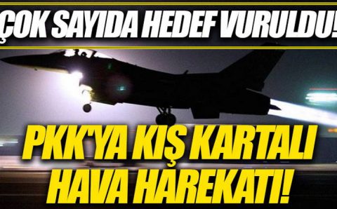 ВВС Турции провели серию авиаударов по Сирии и Ираку