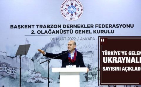Глава МВД Турции назвал число беженцев из Украины