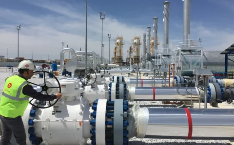 Делегация Botaş обсудит детали проекта газового хаба в Петербурге