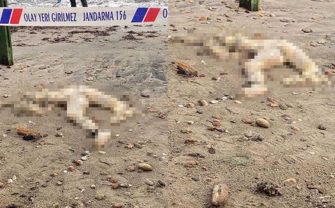 На пляже Бодрума найдено тело мужчины без головы