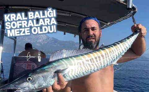 Необычный улов рыбаков Анталии: впервые в Турции